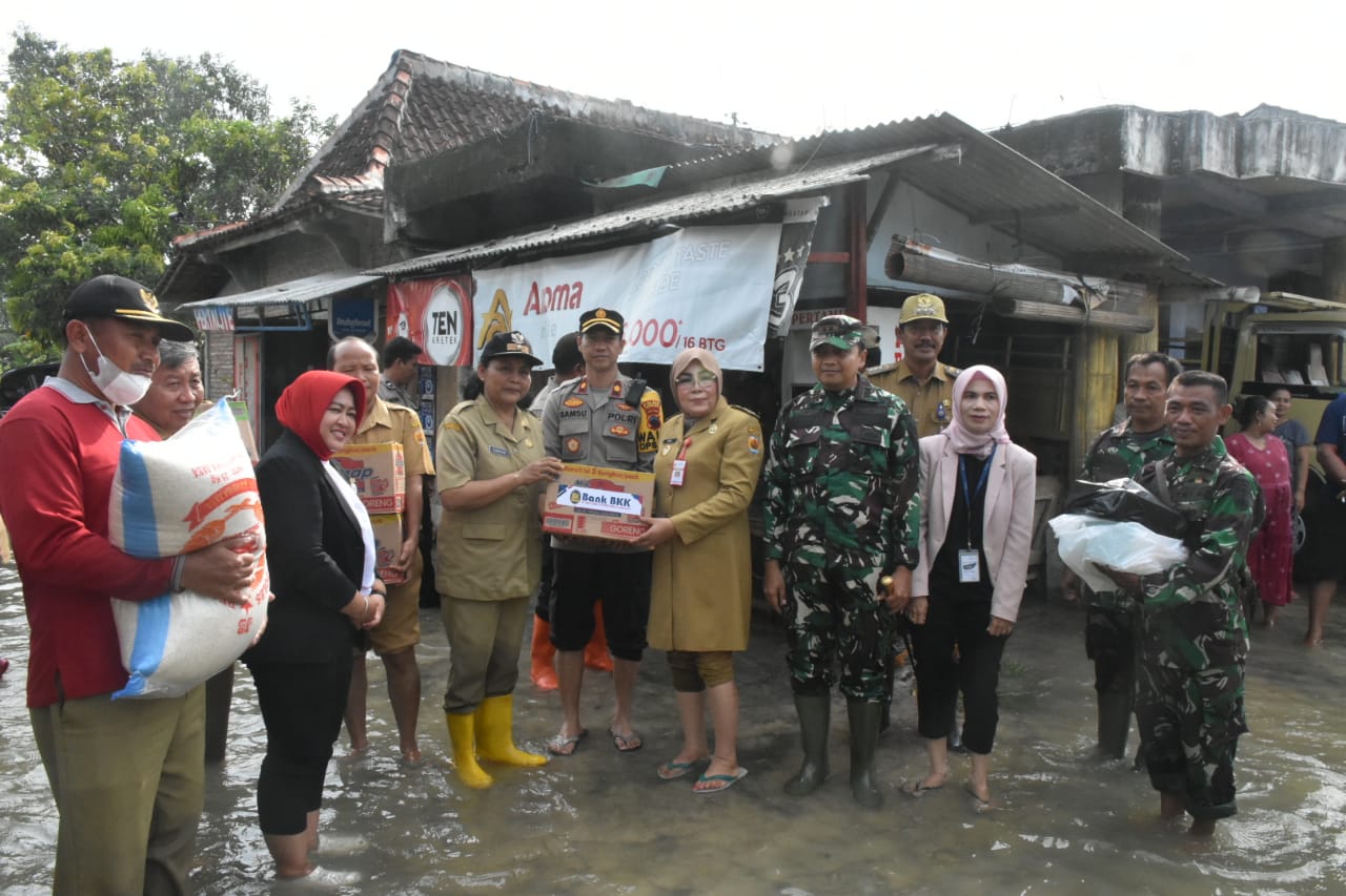 WhatsApp Image 2023 01 02 at 16.00.48