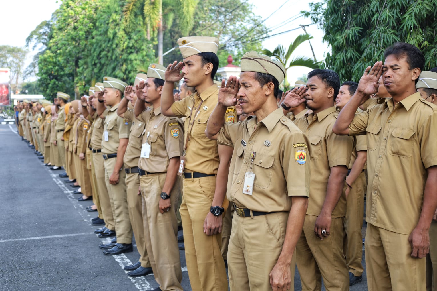 WhatsApp Image 2023 06 19 at 07.56.36