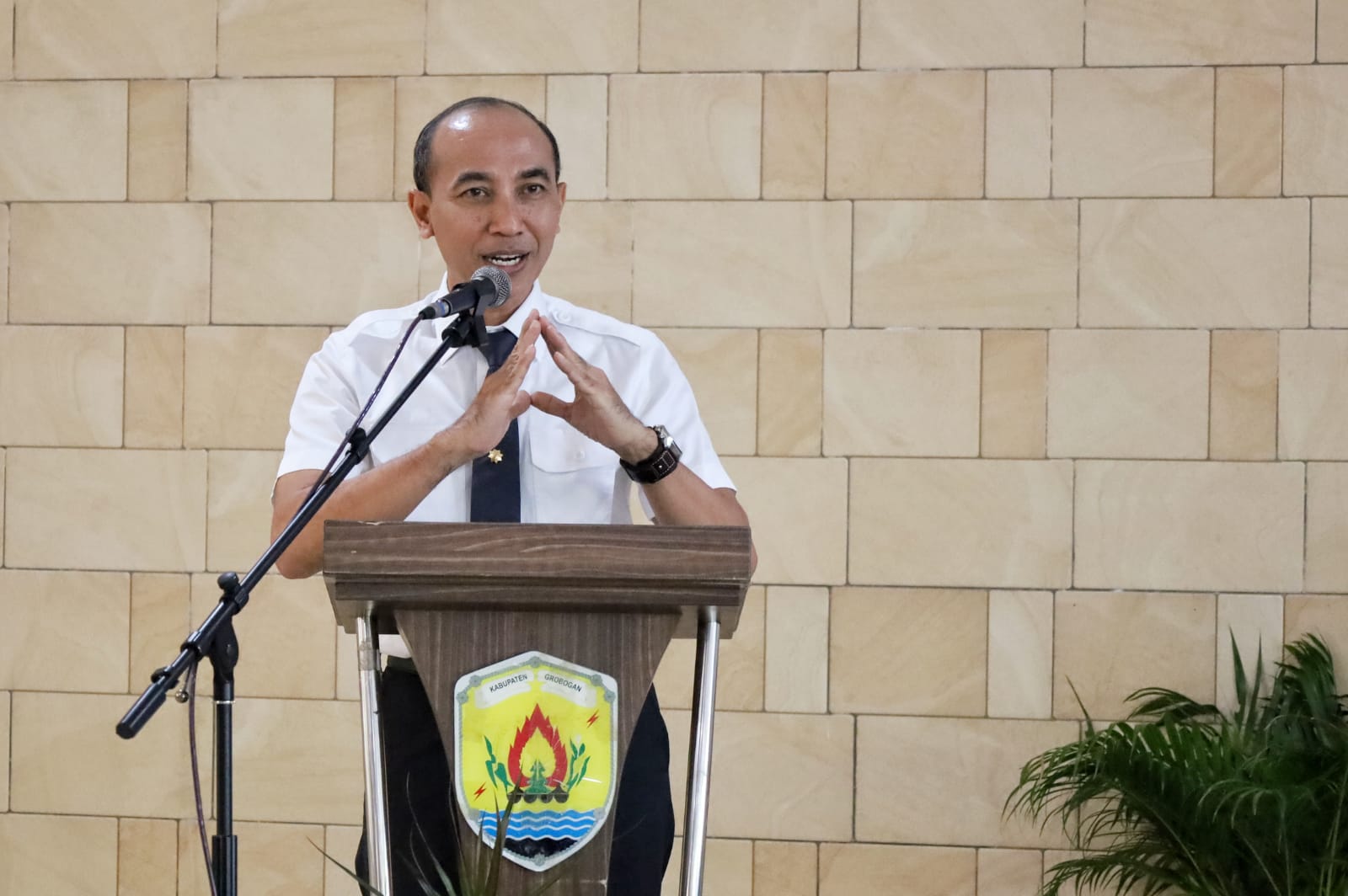 WhatsApp Image 2023 09 27 at 14.47.46