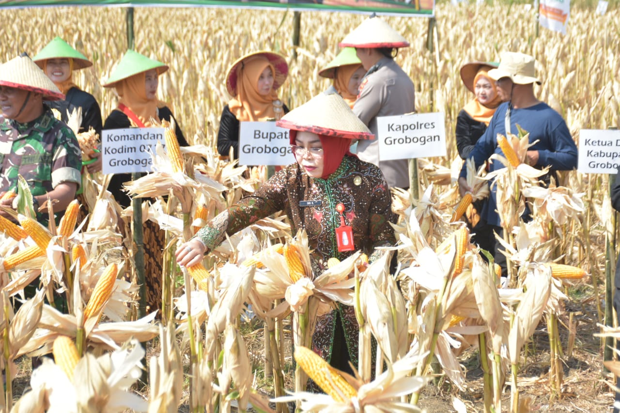 WhatsApp Image 2023 10 05 at 12.30.36 1