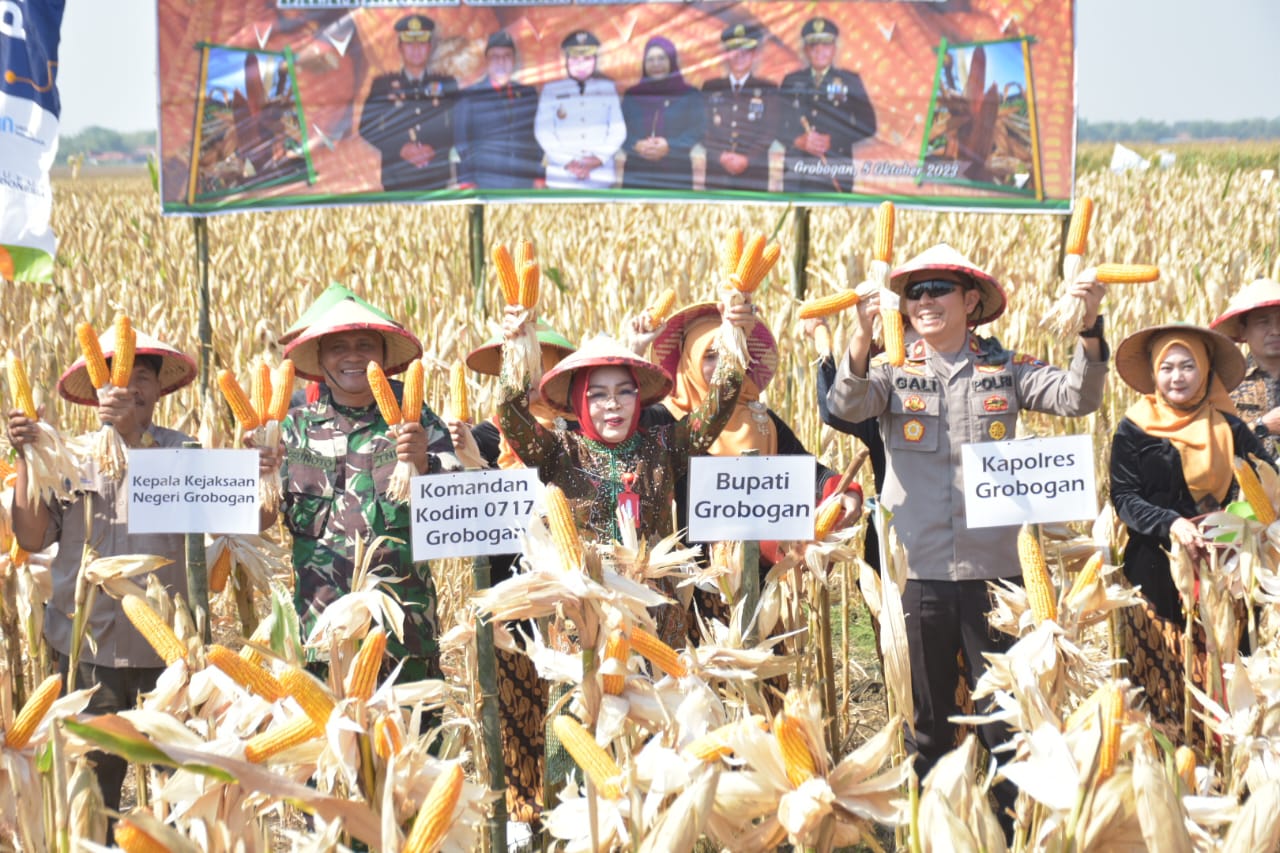 WhatsApp Image 2023 10 05 at 12.30.40