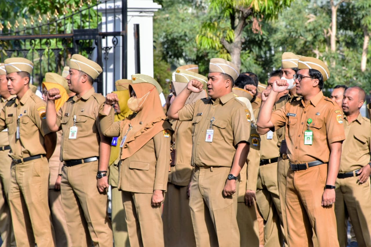 WhatsApp Image 2023 12 11 at 07.57.11