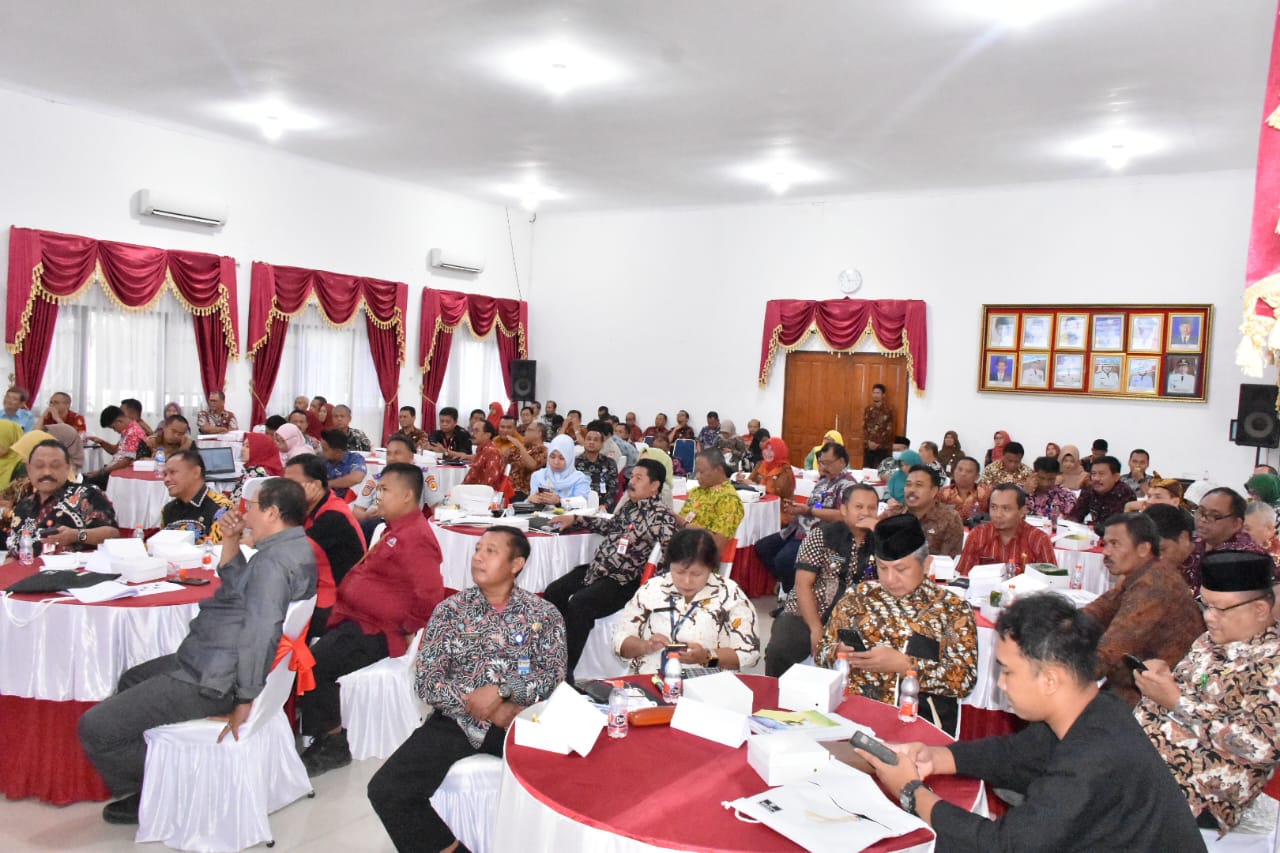 WhatsApp Image 2024 01 11 at 16.41.51