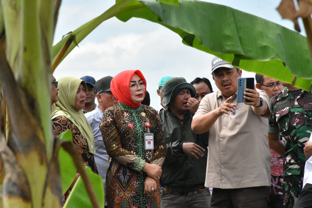 WhatsApp Image 2024 04 19 at 15.18.10