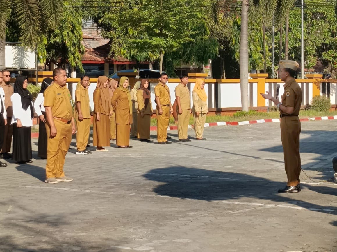 WhatsApp Image 2024 07 15 at 12.03.38