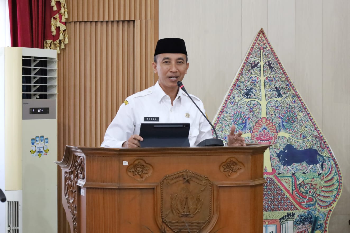 WhatsApp Image 2024 07 31 at 11.01.41