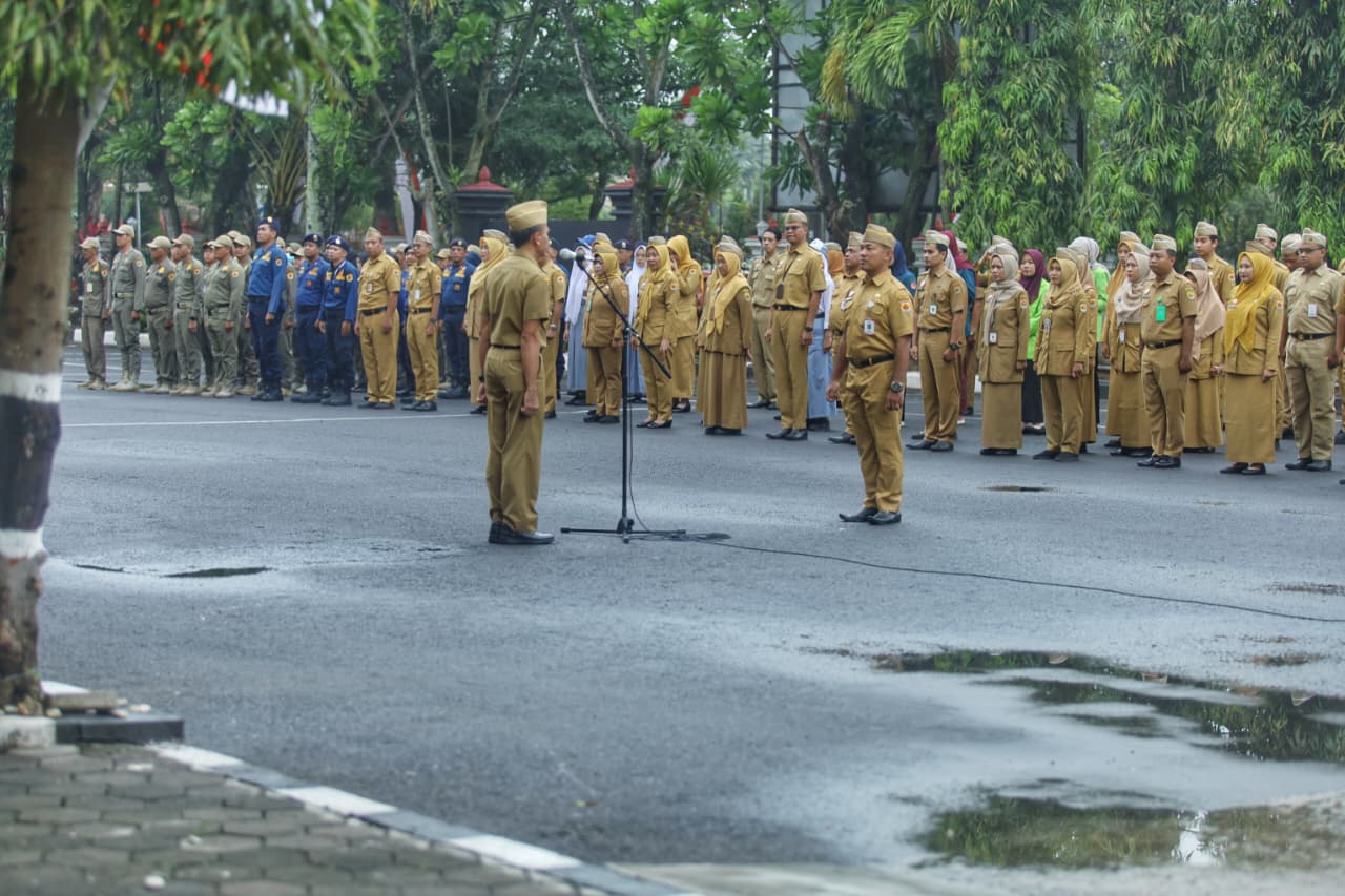 WhatsApp Image 2026 02 09 at 08.07.18 1