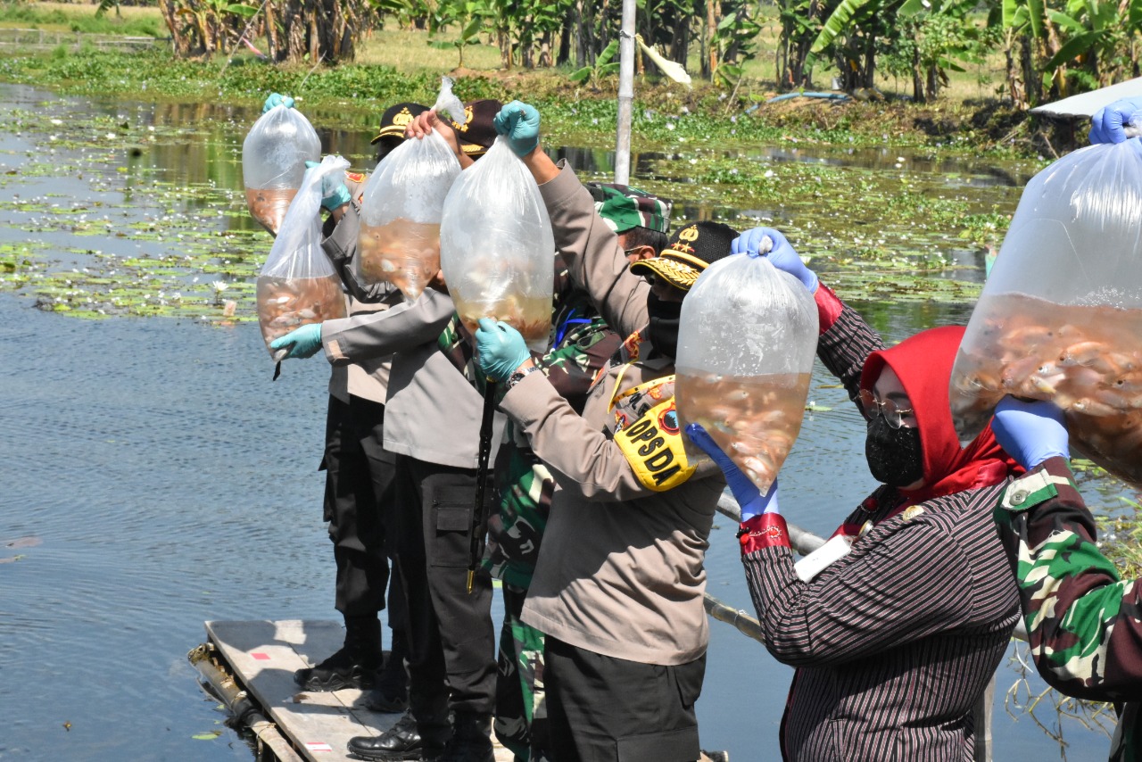 WhatsApp Image 2020 07 13 at 12.03.46